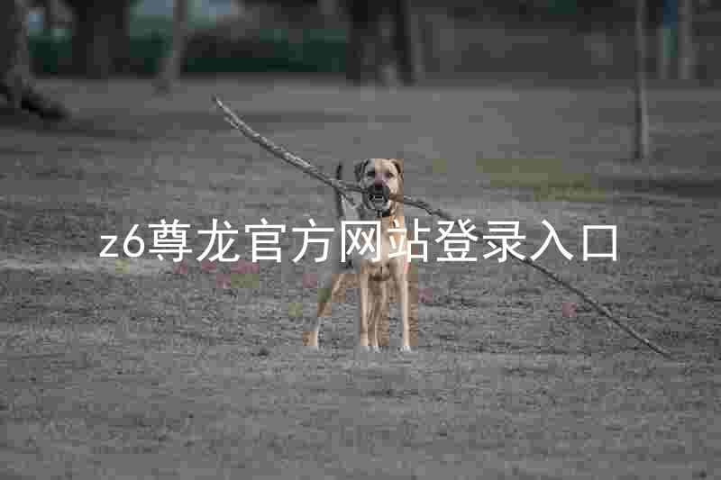 z6尊龙官方网站登录入口