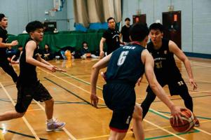 尊龙棋牌网站：用户真实反馈揭示其可信度如何！